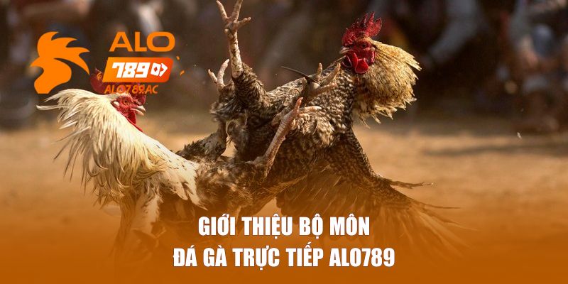Giới thiệu bộ môn đá gà trực tiếp Alo789