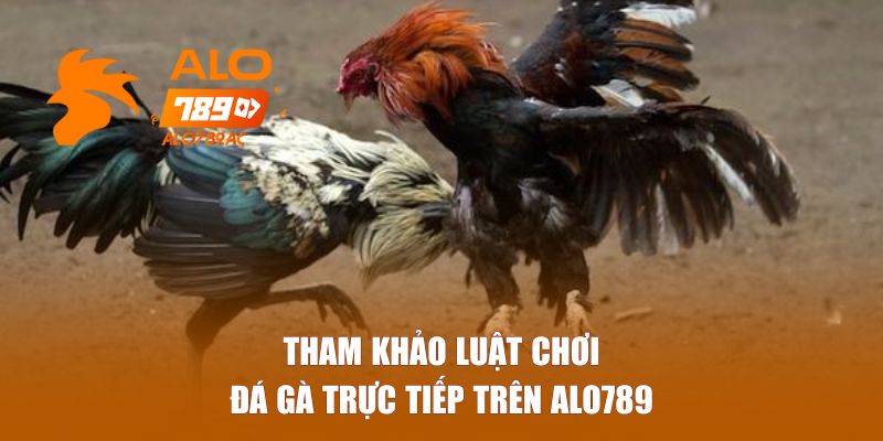 Tham khảo luật chơi đá gà trực tiếp trên Alo789