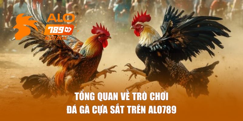 Tổng quan về trò chơi đá gà cựa sắt trên Alo789