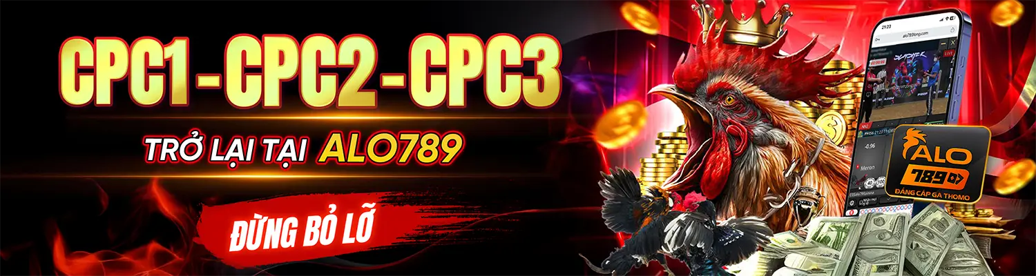 ALO789 DNF - Nhà Cái ALO789.COM Cá Cược Đá Gà Thomo T8/2026