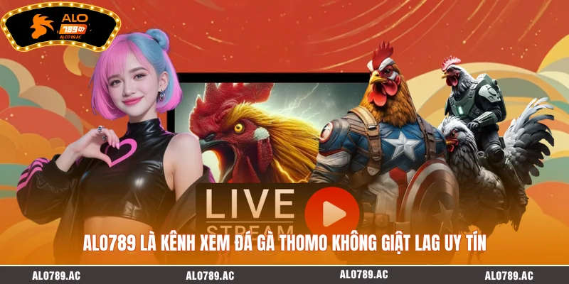 ALO789 là kênh xem đá gà Thomo không giật lag uy tín
